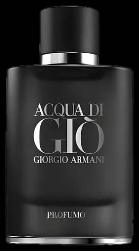 Giorgio Armani Acqua di Giò Profumo Parfum