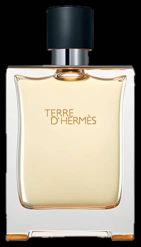 Hermès Terre d'Hermès EDT